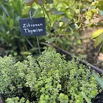 Luxus Nahe Porta Nigra, Parkplatz & Wlan *