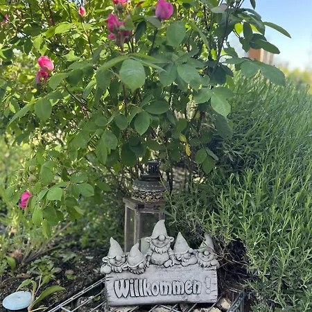 Luxus 10 Min Zur Porta Nigra Inkl Parkplatz Lägenhet *