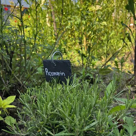 Appartement Luxus 10 Min Zur Porta Nigra Inkl Parkplatz Trèves