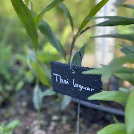 Luxus 10 Min Zur Porta Nigra Inkl Parkplatz * Trèves