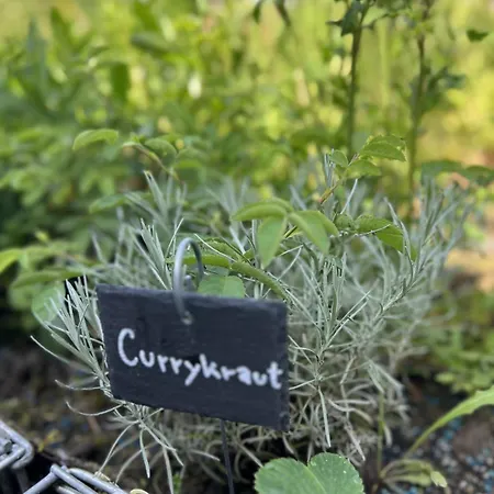 Luxus 10 Min Zur Porta Nigra Inkl Parkplatz Lägenhet Trier