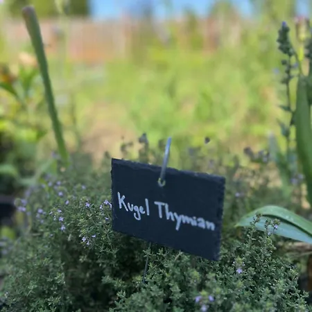 Luxus 10 Min Zur Porta Nigra Inkl Parkplatz * Trier