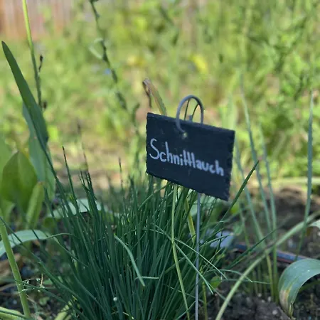 Lägenhet Luxus 10 Min Zur Porta Nigra Inkl Parkplatz *