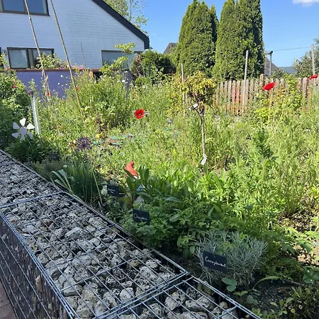 Luxus 10 Min Zur Porta Nigra Inkl Parkplatz Appartement *