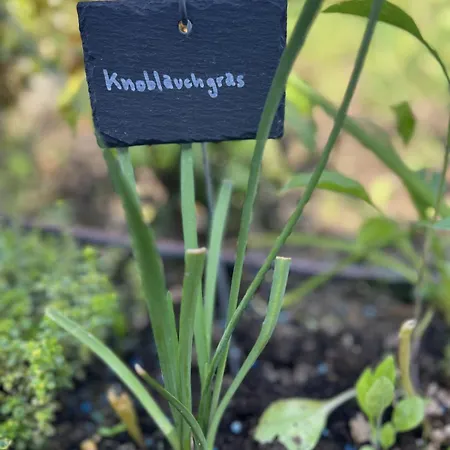 Luxus 10 Min Zur Porta Nigra Inkl Parkplatz Appartement Trèves