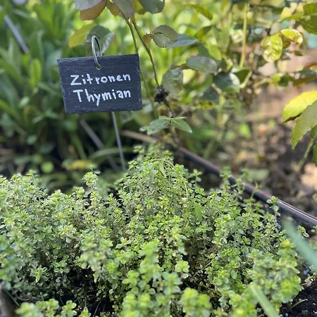 Luxus 10 Min Zur Porta Nigra Inkl Parkplatz *