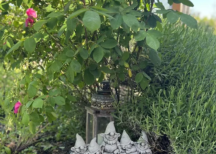 Luxus 10 Min Zur Porta Nigra Inkl Parkplatz Appartamento *