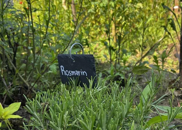 Lejlighed Luxus Studio Trier Nahe Porta Nigra, Parkplatz & Wlan Trier