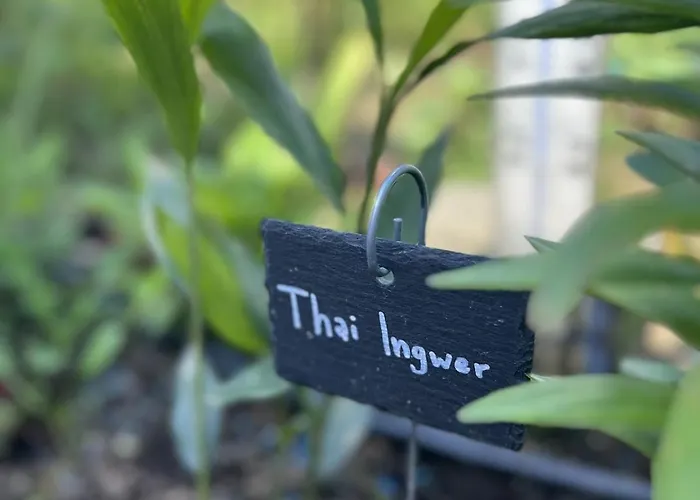 Luxus 10 Min Zur Porta Nigra Inkl Parkplatz * Treviri