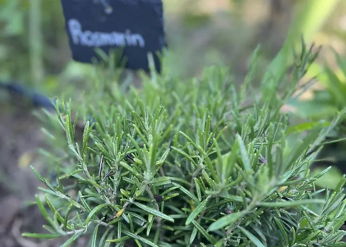 Apartmán Luxus 10 Min Zur Porta Nigra Inkl Parkplatz Trevír