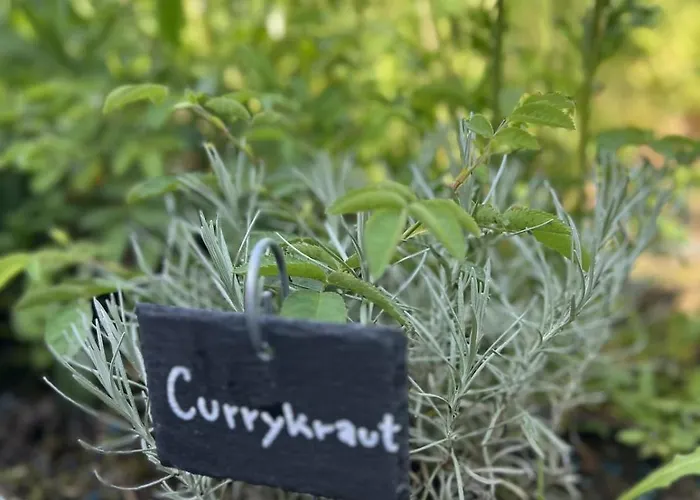 Luxus Studio Trier Nahe Porta Nigra, Parkplatz & Wlan Lejlighed Trier