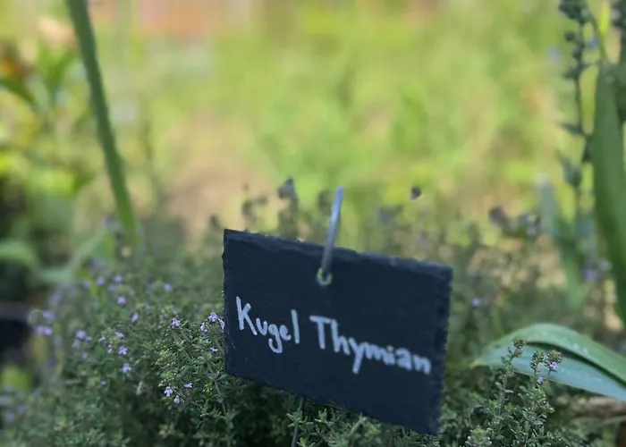 Luxus Studio Trier Nahe Porta Nigra, Parkplatz & Wlan * Trier