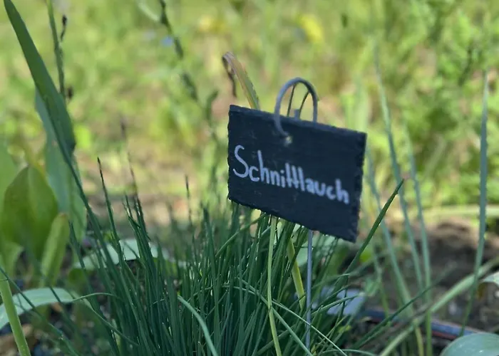 Appartamento Luxus 10 Min Zur Porta Nigra Inkl Parkplatz *