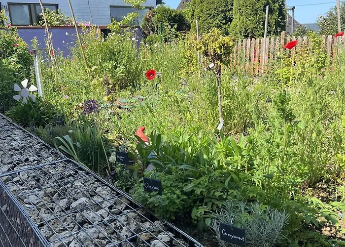 Luxus Studio Trier Nahe Porta Nigra, Parkplatz & Wlan Lejlighed *