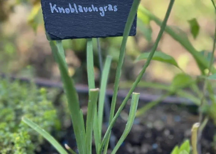 Luxus Studio Trier Nahe Porta Nigra, Parkplatz & Wlan Lejlighed Trier