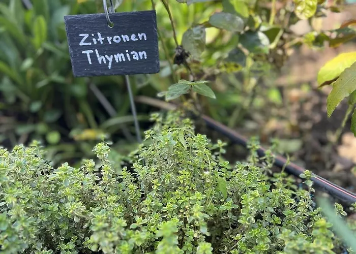 Luxus Studio Trier Nahe Porta Nigra, Parkplatz & Wlan *